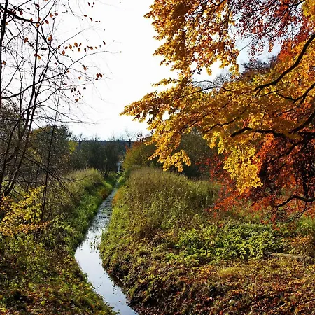 Dom wakacyjny Mit Aussensauna In